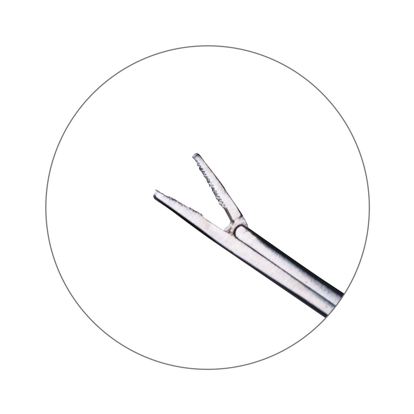 EN-3005 Stainless Steel Straight Alligator Forceps